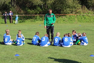 开云app官方入口-中国足球年度战术视频分析内容频次统计，中国足球战术风格