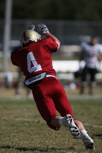 kaiyun sports-德甲球队视频分析辅助防守站位调整的实证研究，德甲身体对抗